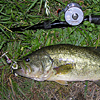 Top Water Old Lure Bass Fishing Favorite ｜オールドルアー　在りし日のバスフィッシング　五三川　50.5cm