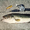 Top Water Old Lure Bass Fishing Favorite ｜オールドルアー　在りし日のバスフィッシング　チャガースプーク　五三川