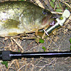 Top Water Old Lure Bass Fishing Favorite ｜オールドルアー　在りし日のバスフィッシング　琵琶湖　バスリカー53cm