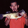 Top Water Old Lure Bass Fishing Favorite ｜オールドルアー　在りし日のバスフィッシング　チャガースプーク　52cm　安寺池