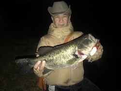 Bass Oreno Red & White