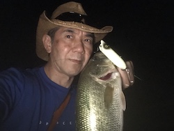 Bass Oreno All White (Wood)