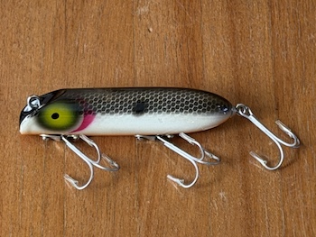 Bass Oreno Tennessee Shad