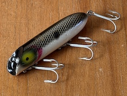 �o�X�I���m�@�e�l�V�[�V���b�h