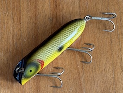 �o�X�I���m�@�C�G���[�e�l�V�[�V���b�h