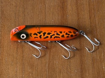 Bass Oreno Fluorescent Red Coach Dog