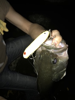 Bass Oreno Fluorescent Yellow