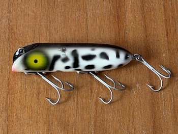 Bass Oreno Coach Dog