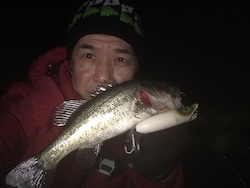 Bass Oreno All White