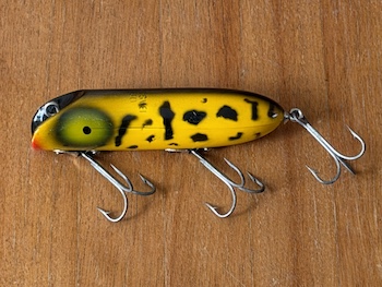 Bass Oreno Yellow Coach Dog