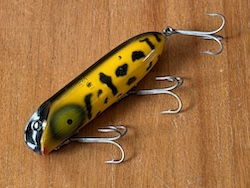 �o�X�I���m�@�C�G���[�R�[�`�h�b�O